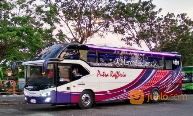Bus Pekanbaru Sorolangun, Call/HpWa085274649709