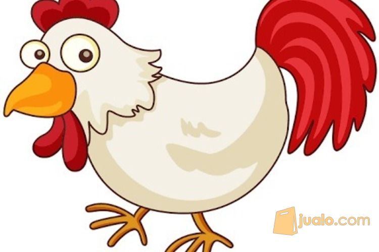 Ayam Potong Segar dan Halal di Bandung