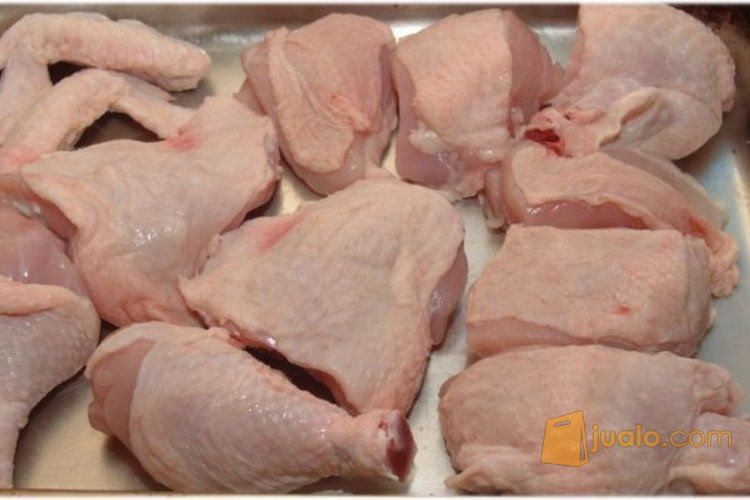 Ayam Potong Segar dan Halal di Bandung