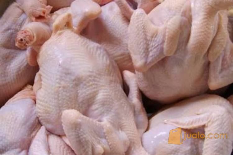 Ayam Potong Segar dan Halal di Bandung