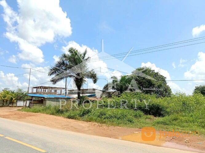 Alfa Property Tanah Trans Kalimantan Ambawang Pontianak