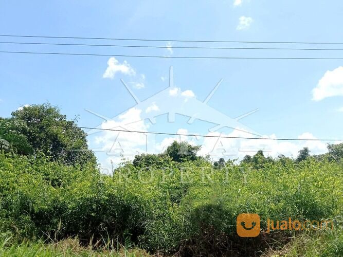 Alfa Property Tanah Trans Kalimantan Ambawang Pontianak