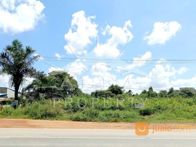 Alfa Property Tanah Trans Kalimantan Ambawang Pontianak