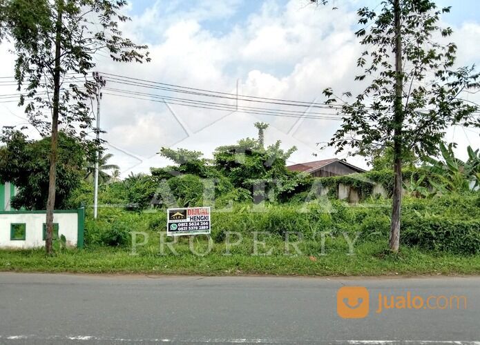 Alfa Property Tanah Jalan Budi Utomo Kota Pontianak
