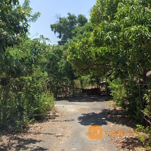 Tanah 5,389 Ha. Pantai SAWANGAN The APURVA Kempinski Benoa Kuta Selatan