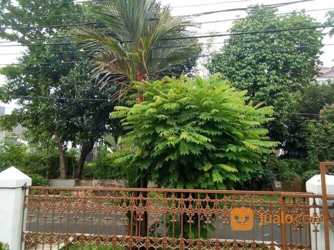 rumah siap pake murah di komplek kavling AL, duren sawit