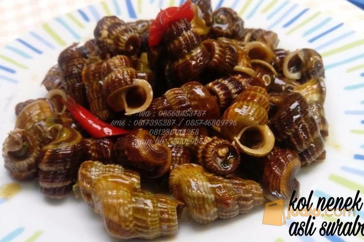 Kol Nenek Kul Nenek Kerang Nenek Kul Emak Asli Surabaya Siap Saji Kirim Luar Kota Dan Luar Pulau