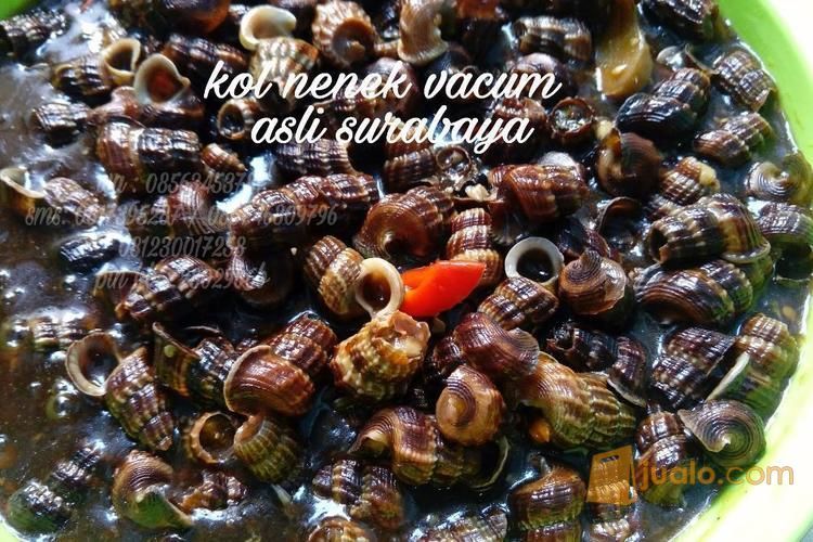Kol Nenek Kul Nenek Kerang Nenek Kul Emak Asli Surabaya Siap Saji Kirim Luar Kota Dan Luar Pulau