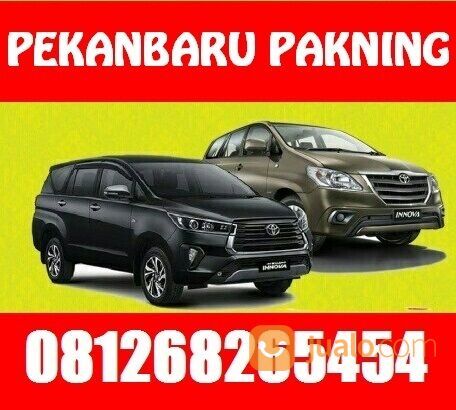 TRAVEL PEKANBARU PAKNING