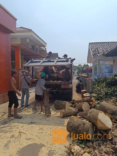 Jasa tebang pohon, pangkas pohon dan buang di serang cilegon