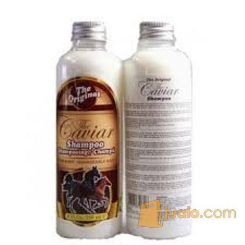CAVIAR SHAMPOO - SHAMPO KUDA - THE CAVIAR SHAMPOO