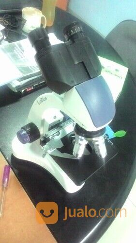 MICROSCOPE EUROMEX EC.1152 Dinolite