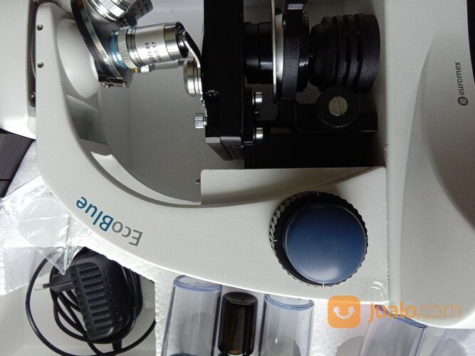 MICROSCOPE EUROMEX EC.1152 Dinolite