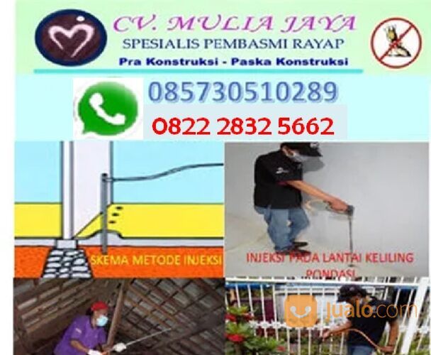 JASA BASMI RAYAP BERGARANSI DI CILACAP, PURWOKERTO JAWA TENGAH