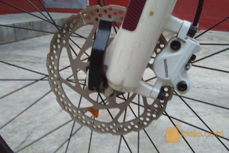 Polygon Cozmic Cx 1.0