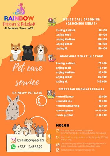 Jasa Grooming Hewan (Kucing Anjing Kelinci) Kerumah SURABAYA Dan Sekitarnya Terbaik