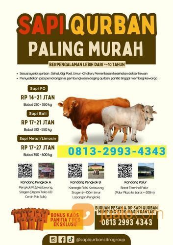 MURAH!!0813-2993-4343, Sapi Qurban Paling Murah Di Wonogiri,