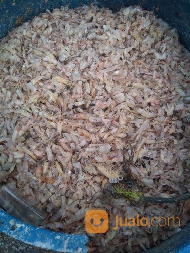 Kepala Udang Giling Kering Bahan Pakan Ternak / Penelitian