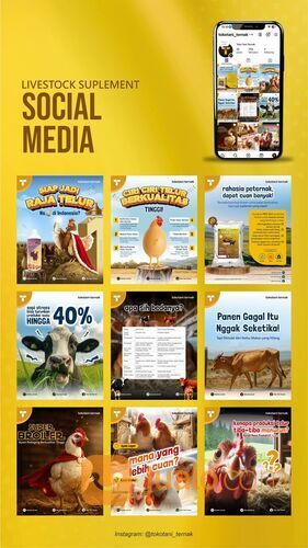 Jasa Kelola Media Sosial & Desain Feed Instagram Mulai 50 Ribuan | Bikin Brand-mu Makin Cuan!