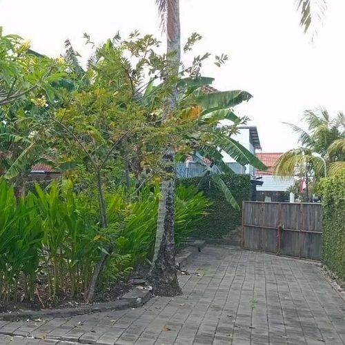 Tanah 12 are, Jl. Padang Linjong Pantai Batu Mejan Canggu Kuta Utara