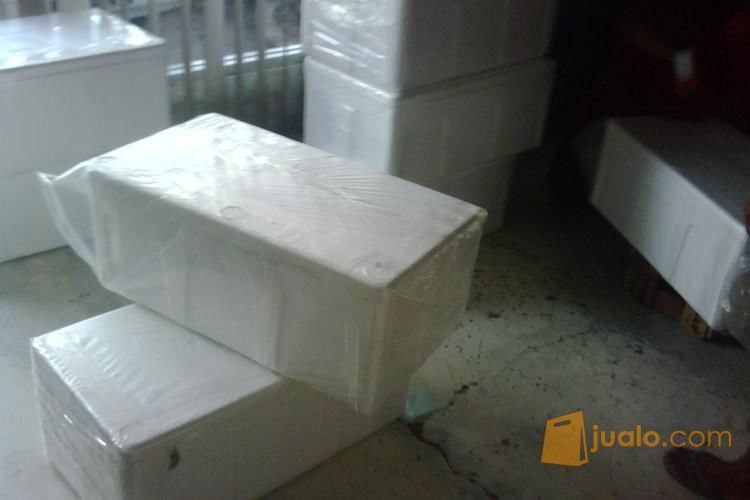 indukan lele bersertifikasi