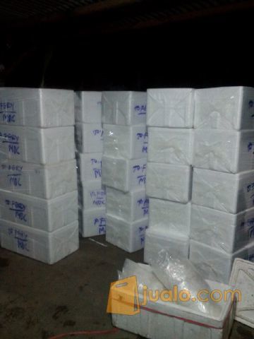 Jual benih lele harga murah