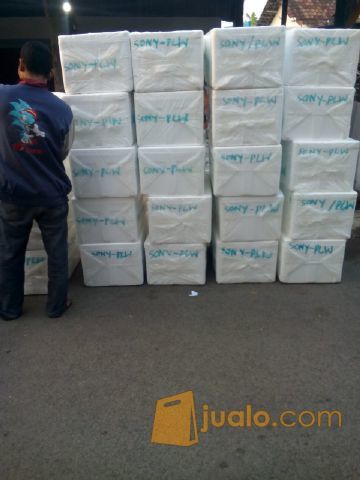 Jual benih Nila jantan harga murah