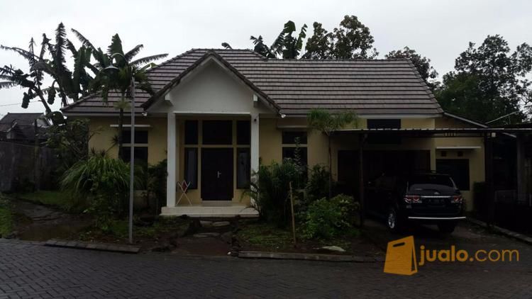 lahan peternakan sapi limousin dikota batu