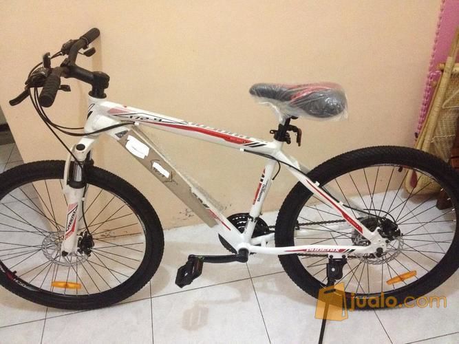 Sepeda MTB Phoenix 172-9