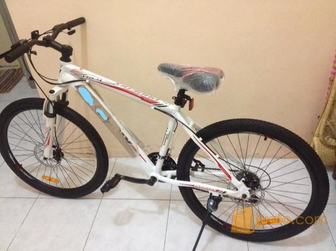 Sepeda MTB Phoenix 172-9