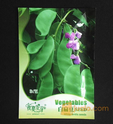 Komak Hijau (Kacang Koro Hijau)