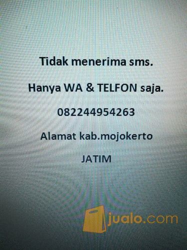 ayam birma original babon tembean.