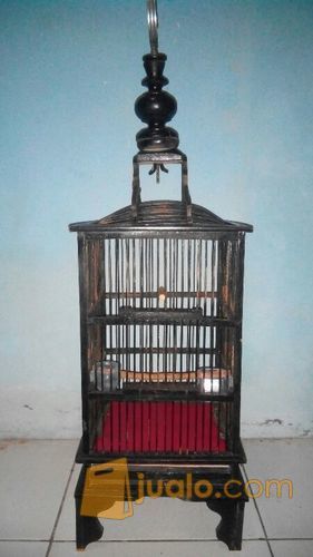 pleci Buxtoni semi bukpar ( fullset )