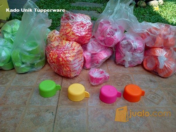Tupperware Tutup Botol Eco 500ml