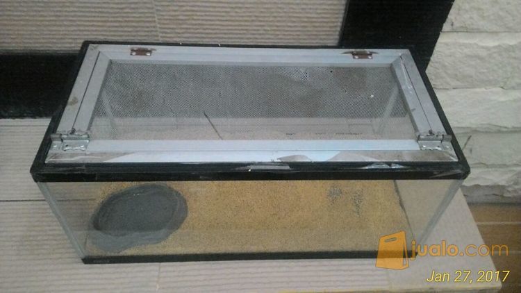 Jual Kandang / Aquarium Gex 60 untuk Reptile (Savmon, Tegu, Bearded Dragon, Kura-Kura, Ular)