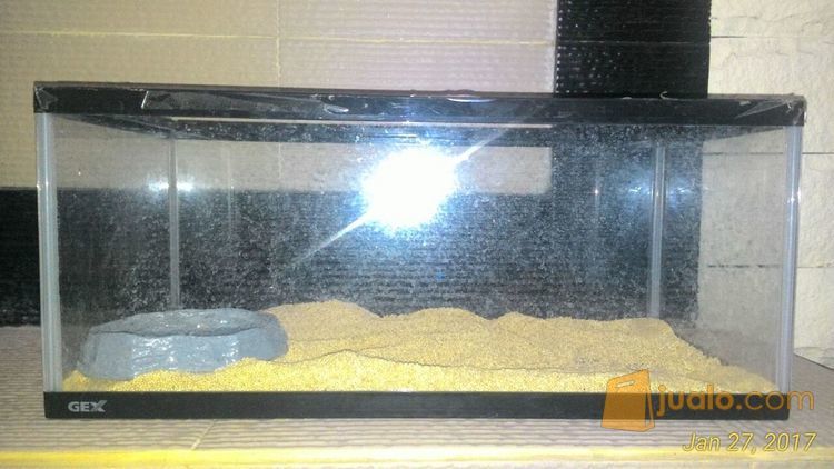 Jual Kandang / Aquarium Gex 60 untuk Reptile (Savmon, Tegu, Bearded Dragon, Kura-Kura, Ular)