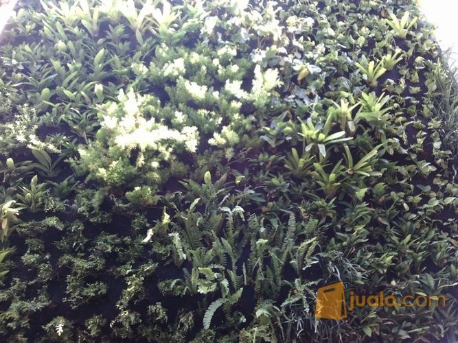 tukang taman vertical garden bintaro dan sekitarnya