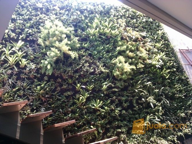 tukang taman vertical garden bintaro dan sekitarnya
