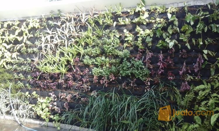 tukang taman vertical garden bintaro dan sekitarnya
