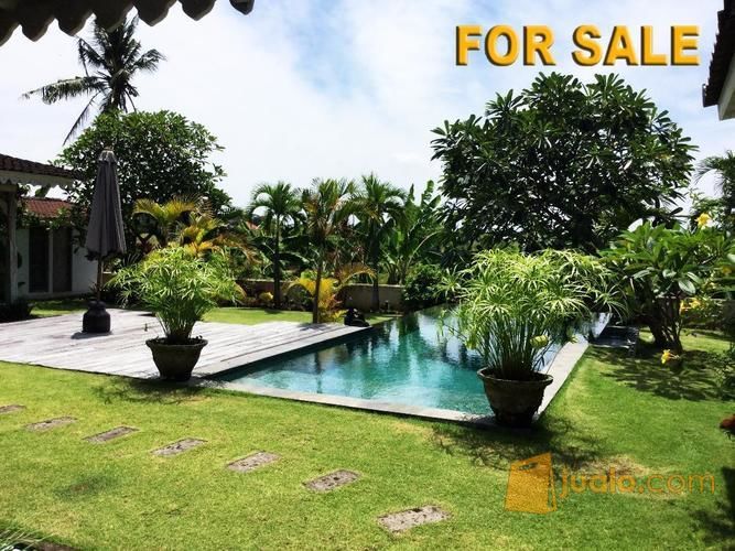 Di Jual Villa Dengan Panorama Sawah di Padang Tawang Canggu Bali