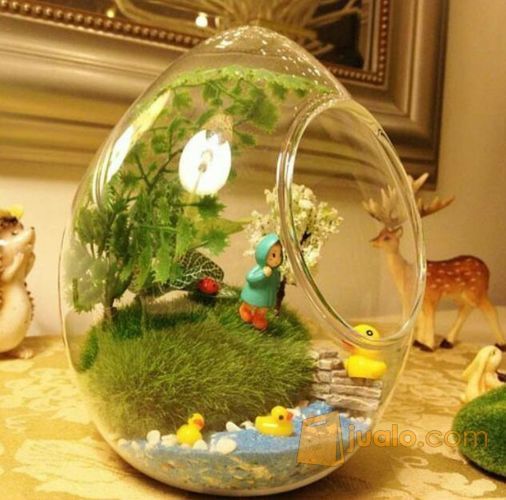 Pasir Halus Warna Pasir Bali Pasir Lombok Terrarium mini garden laut