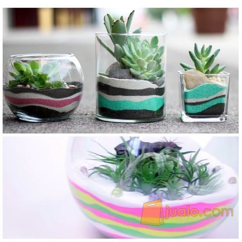Pasir Halus Warna Pasir Bali Pasir Lombok Terrarium mini garden laut
