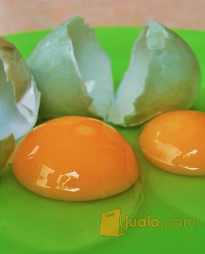 Telor Bebek Mentah Hasil Angon