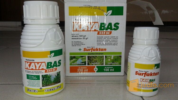 HERBISIDA KAYABAS 555 SC PEMBUNUH GULMA