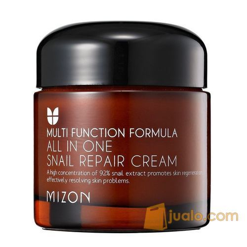 Mizon - All-in-One Snail Skin Repair Cream 75gr