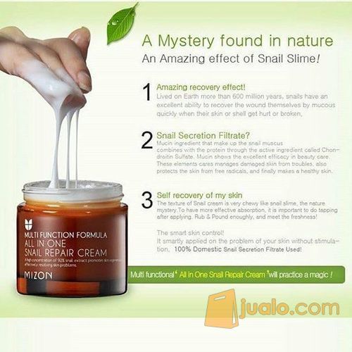 Mizon - All-in-One Snail Skin Repair Cream 75gr