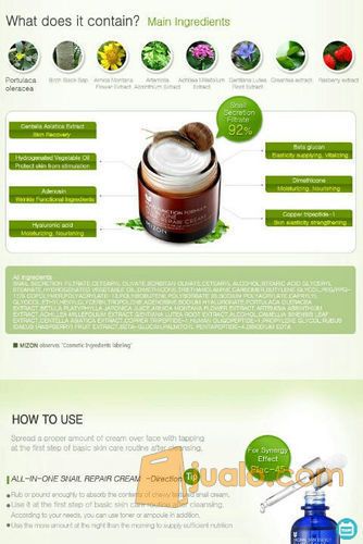 Mizon - All-in-One Snail Skin Repair Cream 75gr