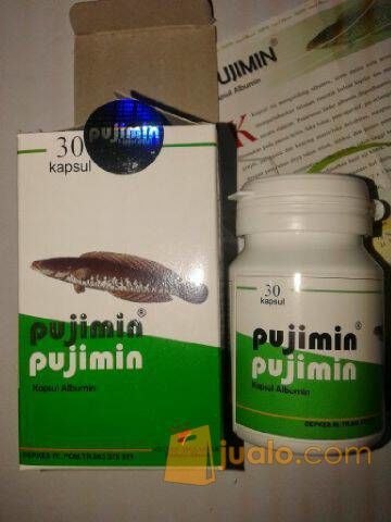 PUJIMIN EKSTRAK IKAN GABUS ATAU KUTUK