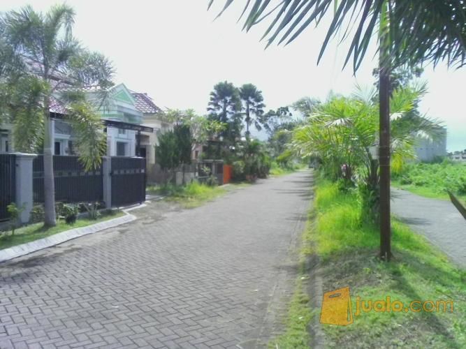 Rumah Di Belakang Roxxy Mall Jember