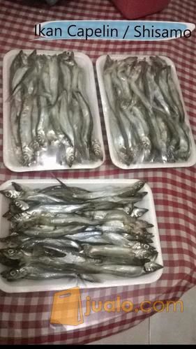 Ikan Shisamo / Capelin